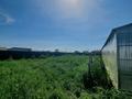 Ауыл шаруашылығы · 10 м², бағасы: 13.8 млн ₸ в Косшы — фото 8