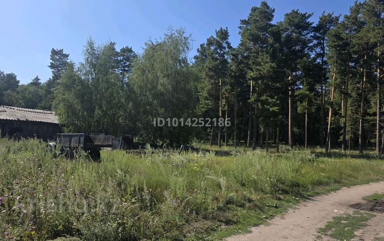 Жер телімі · 16 сотық, Карагайлы 8 — Аккольский лесхоз, бағасы: 45 млн ₸ — фото 2