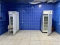 Қоғамдық тамақтану орны · 650 м², бағасы: 3.9 млн ₸ в Астане, Сарыарка р-н — фото 6
