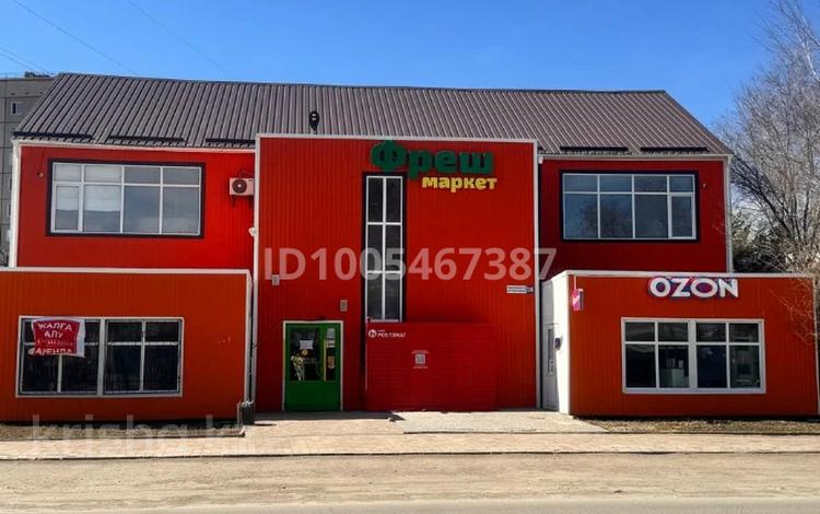 Еркін · 800 м², бағасы: 270 млн ₸ в Костанае — фото 2