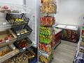 Магазины и бутики · 120 м² за ~ 80 млн ₸ в Астане, Алматы р-н — фото 13