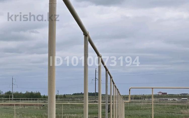 Жер телімі · 10 сотық, 088, бағасы: 15 млн ₸ в Аккайын — фото 8
