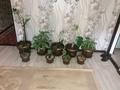 2-бөлмелі пәтер · 48 м² · 4/4 қабат, Ниеткалива 10, бағасы: 13 млн ₸ в Таразе — фото 16