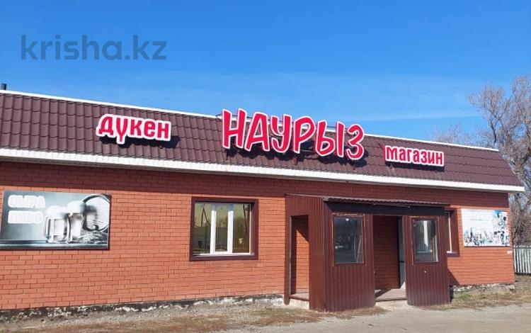 Еркін, кеңселер, дүкендер мен бутиктер, қоймалар, қоғамдық тамақтану орны, сұлулық салондары, ауыл шаруашылығы, медорталықтар мен дәріханалар, білім орталықтары, ойын-сауық · 105.4 м², бағасы: 30 млн ₸ в Сарыколе — фото 18