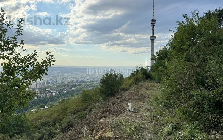 Участок · 6.5 соток, мкр Коктобе 35A — Телевышка за 28.5 млн ₸ в Алматы, Медеуский р-н — фото 14