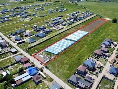 Теплицы 4260кв м2 + дом 120кв м2 · 4380 м² за 140 млн ₸ в Береке