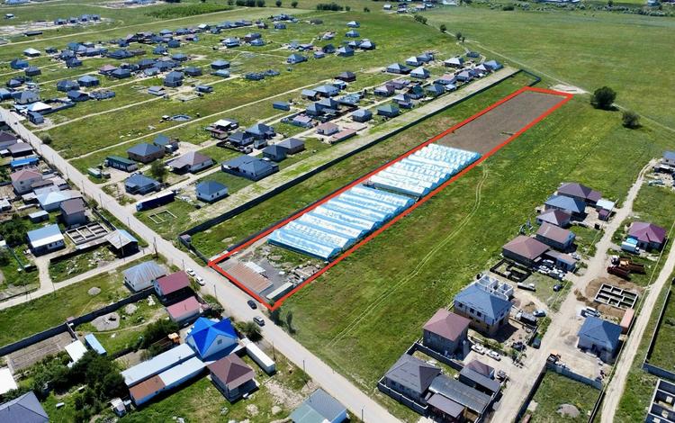 Теплицы 4260кв м2 + дом 120кв м2 · 4380 м² за 140 млн ₸ в Береке — фото 2
