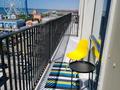 2-комнатная квартира · 84 м² · 4 этаж, ​База отдыха Теплый пляж 119 — Rixos Aktau, Tetysblu за 42 000 ₸ в Актау — фото 3
