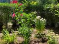 2-бөлмелі пәтер · 50 м² · 1/3 қабат, Щербакова 16б — Шолохова Сейфуллина, бағасы: 29 млн ₸ в Алматы, Турксибский р-н — фото 18