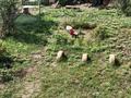 Саяжай · 3 бөлме · 42 м² · 6 жүзд., Промышленник 30, бағасы: 3 млн ₸ в  — фото 4
