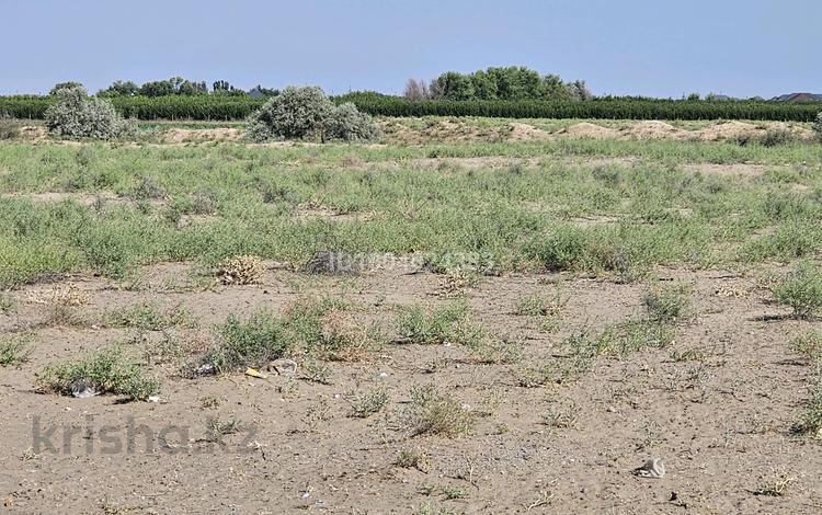 Участок · 8 соток, 153 квартал за 2.2 млн ₸ в Туркестане — фото 7