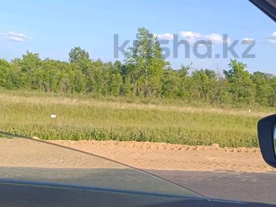 Участок · 1 га, проспект Абылай хана за 499 млн ₸ в Кокшетау