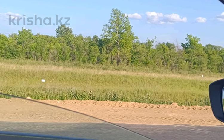Участок · 1 га, проспект Абылай хана за 499 млн ₸ в Кокшетау — фото 2