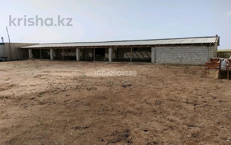 Жер телімі · 5 га, Туркестанская обл., бағасы: 30 млн ₸ — фото 2