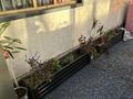 Жеке үй · 5 бөлме · 140 м² · 17 жүзд., Алкей Маргулана 46, бағасы: 32 млн ₸ в Каражар — фото 32