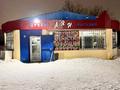 Магазины и бутики · 106 м² за 350 000 ₸ в Астане, Сарыарка р-н — фото 8