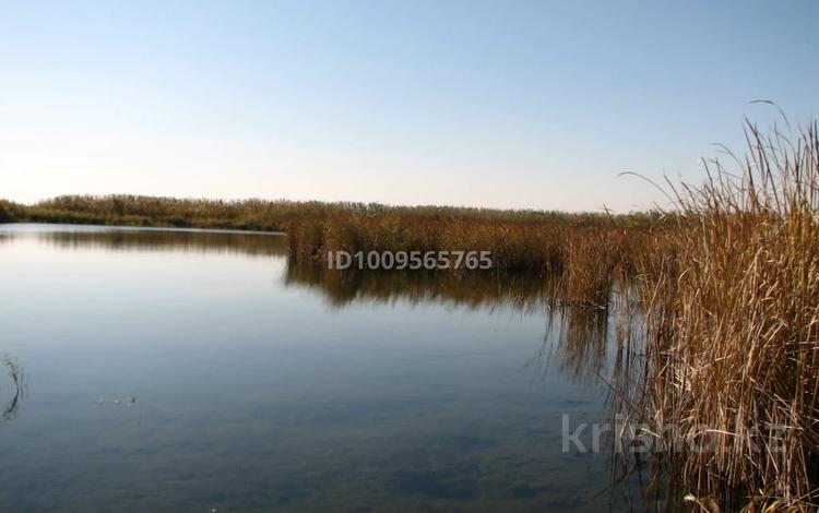 Участок · 90 га, Караой за 35 млн ₸ — фото 2