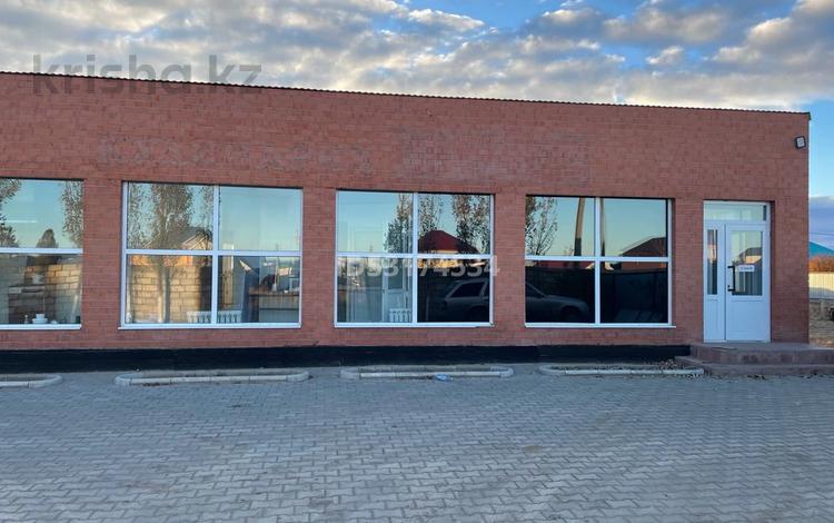 Қоғамдық тамақтану орны · 200 м², бағасы: 55 млн ₸ в Актобе, жилой массив Жанаконыс — фото 21