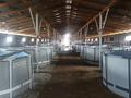 Форелевое хозяйство · 4280 м² за 37 млн ₸ в 