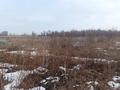 Форелевое хозяйство · 4280 м², бағасы: 45 млн 〒 в  — фото 7