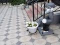 Дом · 5 комнат · 200 м², Альфараби за 150 000 ₸ в Усть-Каменогорске — фото 69