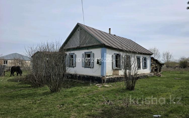 Отдельный дом · 3 комнаты · 60 м² · 28 сот., Село.Караозек — Продам дом в селе Караозек(Колоколовка) за 650 000 ₸ в Макинске — фото 2