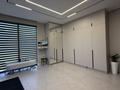Жеке үй · 5 бөлме · 250 м² · 8 жүзд., Тарбагатай 67 — Магнум, ресторан Romance Palace, школа N28, бағасы: 2 млн ₸ в  — фото 10