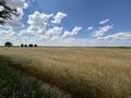 Участок · 3 га, Выше поселка 1 — Вода напорная башня за 7 млн ₸ в Кулане — фото 3