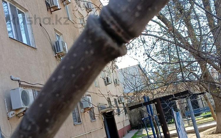 2-бөлмелі пәтер · 60 м² · 1/4 қабат, 3А мкр 15, бағасы: 10.5 млн ₸ в Актау — фото 2