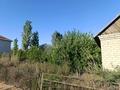 Саяжай · 3 бөлме · 64 м² · 25 жүзд., Сабалак, бағасы: 20 млн ₸ в  — фото 15