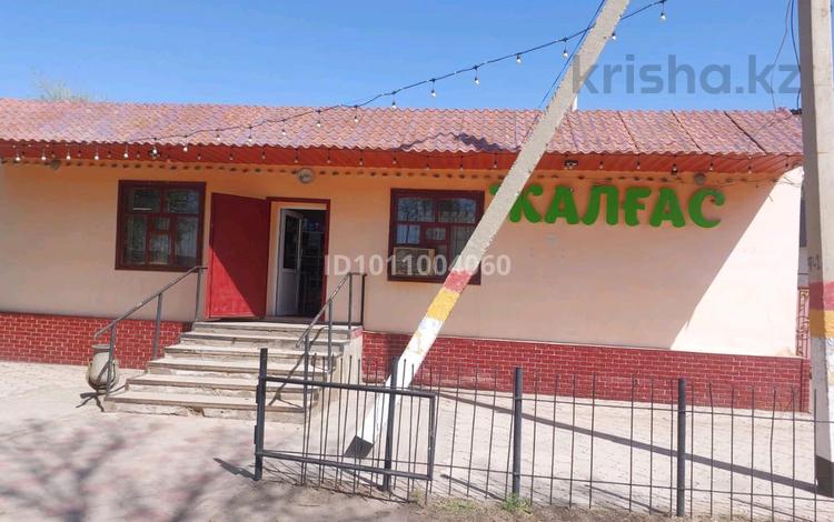 Жеке үй · 8 бөлме · 200 м² · 30 жүзд., Амангелді 155 — Центр, бағасы: 100 млн ₸ в Мойынкуме — фото 2
