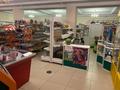 Магазины и бутики • 504.5 м² за 73 млн 〒 в Астане, Есильский р-н — фото 10