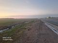 Участок · 226 соток, Коксай (Путь Ильича) за 175 млн ₸ — фото 3