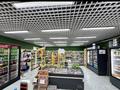Магазины и бутики · 125 м² за 120 млн ₸ в Астане, Сарайшык р-н — фото 4