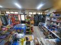 Магазины и бутики • 117.4 м² за 52 млн 〒 в Абае — фото 3