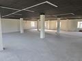 Еркін · 1170 м², бағасы: 1.5 млн ₸ в Шымкенте, Абайский р-н — фото 19