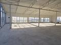 Еркін · 1170 м², бағасы: 1.5 млн ₸ в Шымкенте, Абайский р-н — фото 27