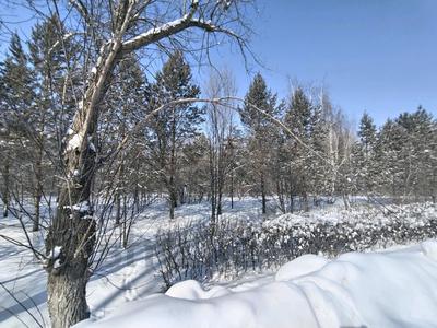Участок · 17 соток, Жибек жолы за 22 млн 〒 в Усть-Каменогорске