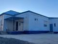 Отдельный дом · 5 комнат · 150 м² · 11 сот., Е.Ниеткалиев. Саулет-11 35 за 29 млн ₸ в  — фото 3
