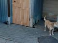 3-бөлмелі пәтер · 73 м², Геологическая 10, бағасы: 16.5 млн ₸ в Тобыле — фото 9