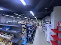 Магазины и бутики · 174 м² за 125 млн ₸ в Астане, Алматы р-н — фото 16