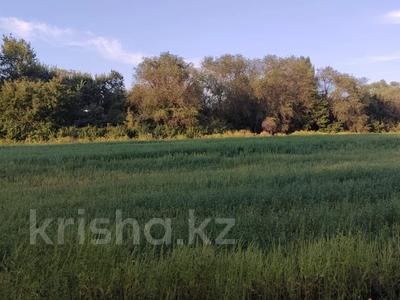 Жер телімі · 250 сотық, Белбұлақ (Мичурино), бағасы: 55 млн ₸ в Бельбулаке (Мичурино)