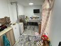 Часть дома · 2 комнаты · 35 м² · 8 сот., Бекетайұлы 101 за 10 млн ₸ в Каргалы (п. Фабричный) — фото 13