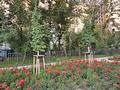 1-комнатная квартира · 37 м² · 8/9 этаж, Пушкина 28 — Макатаева за 245 000 ₸ в Алматы, Медеуский р-н — фото 13