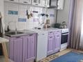 2-комнатная квартира · 51.4 м² · 1/9 этаж, мкр Городской Аэропорт, Мкр Шапағат 7 за 25 млн ₸ в Караганде, Казыбек би р-н — фото 11