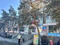 Магазины и бутики · 2200 м² за 700 млн ₸ в Костанае — фото 3