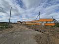 Участок · 4.8 га, Лесная поляна за 1.5 млрд 〒 в Косшы — фото 8
