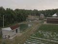 Жер телімі · 2.8 га, Б/у б/н, бағасы: 85 млн ₸ в  — фото 3