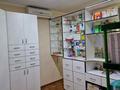 Аптека или под бизнес, 63 м² за 26 млн 〒 в Талдыкоргане, мкр Жетысу — фото 4