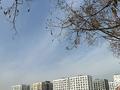 1-бөлмелі пәтер · 37.1 м² · 2/6 қабат, Бауыржана Момышулы 11/14а, бағасы: 26.5 млн ₸ в Алматы, Алатауский р-н — фото 8